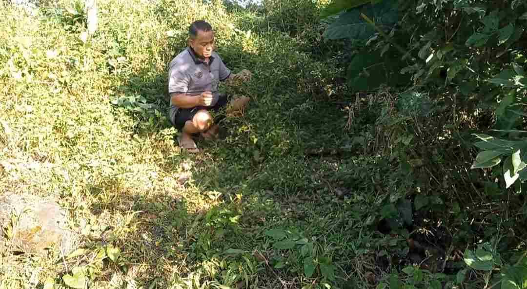 IMG-20250101-WA0199_gmB3VB8X4n