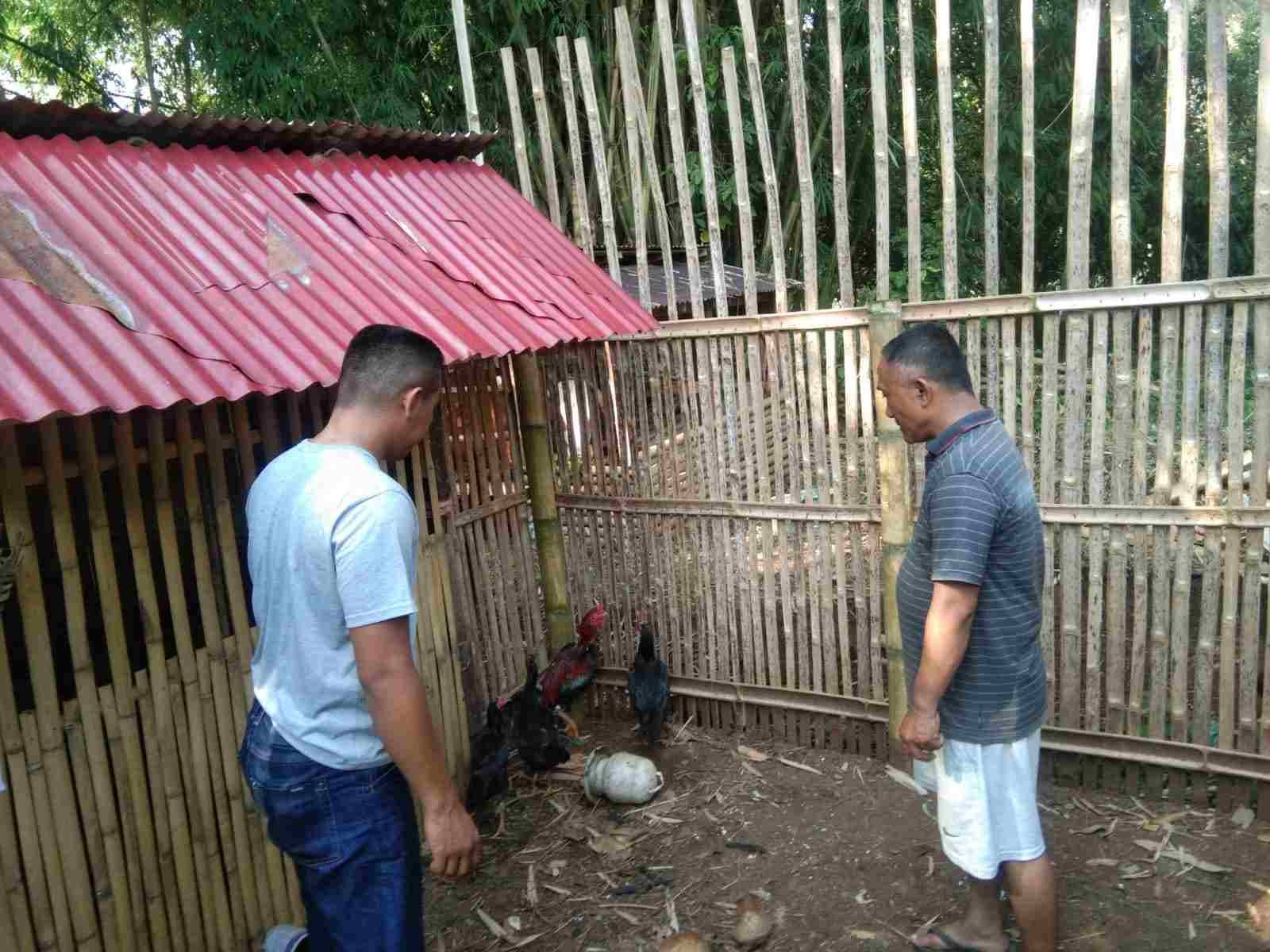 IMG-20250101-WA0201_7sBpiqTd3I