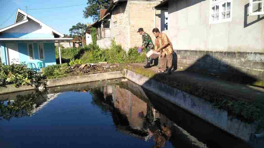 IMG-20250101-WA0204_QWggI4vs2R