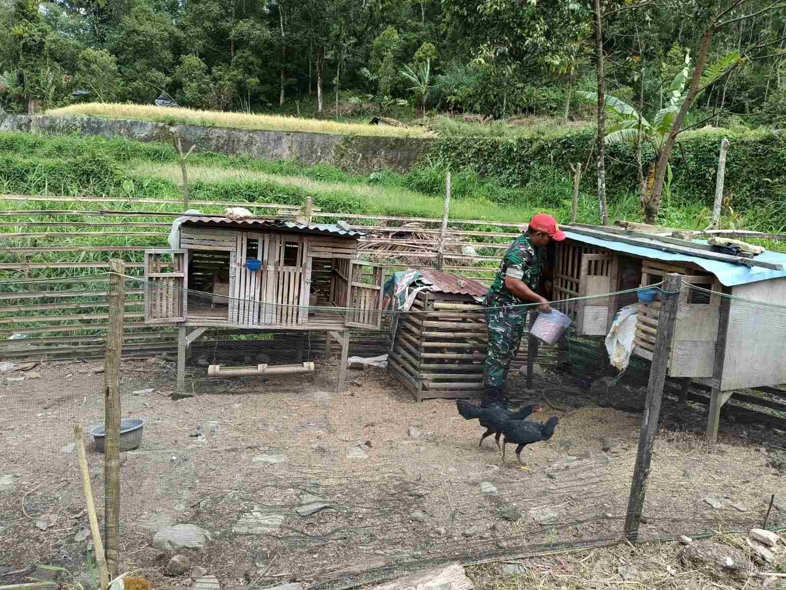 IMG-20250106-WA0117_vOPcqMML9Y