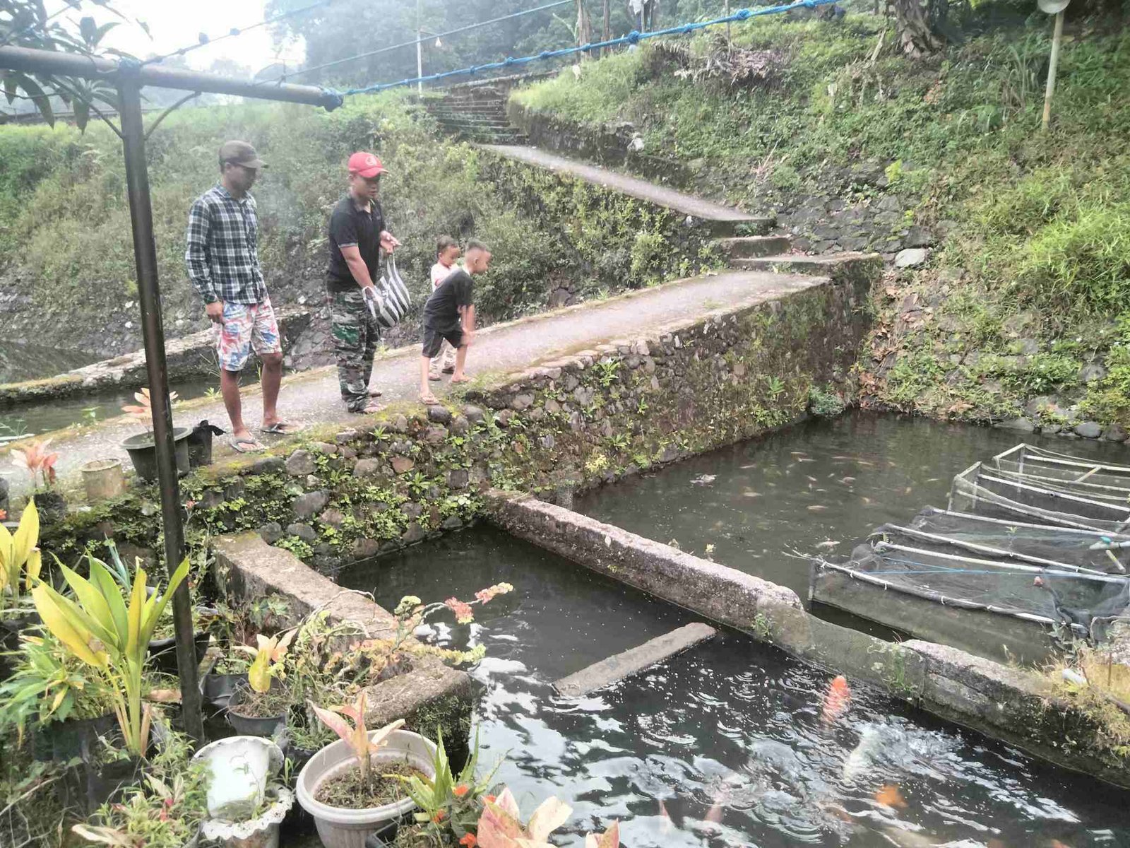 IMG-20250106-WA0125_rsAnYMxE9b