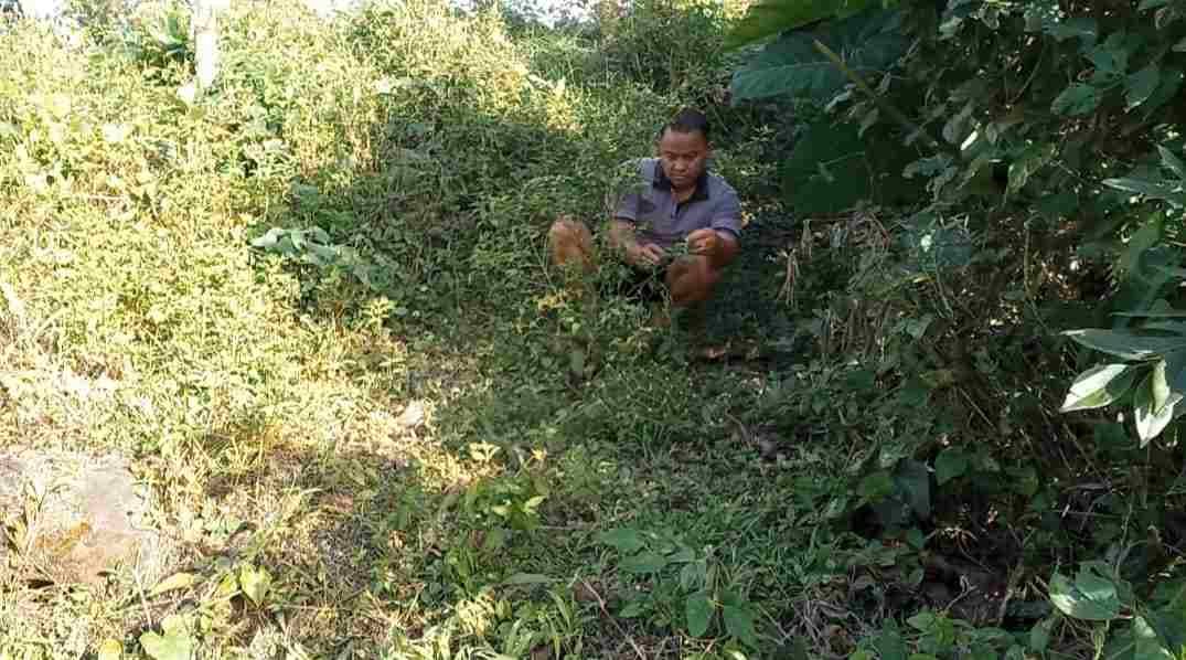 IMG-20250108-WA0184_gAb79WJV8Y