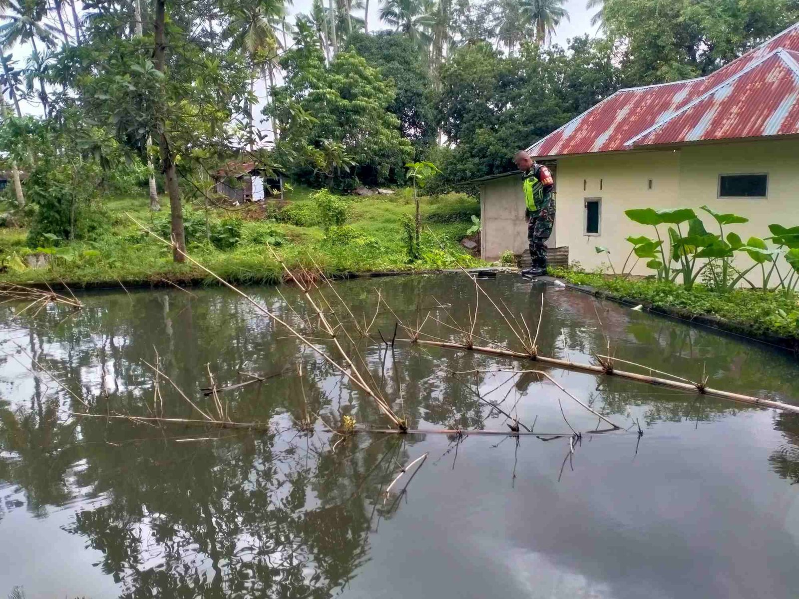 IMG-20250109-WA0124_yTaWRfLW1q