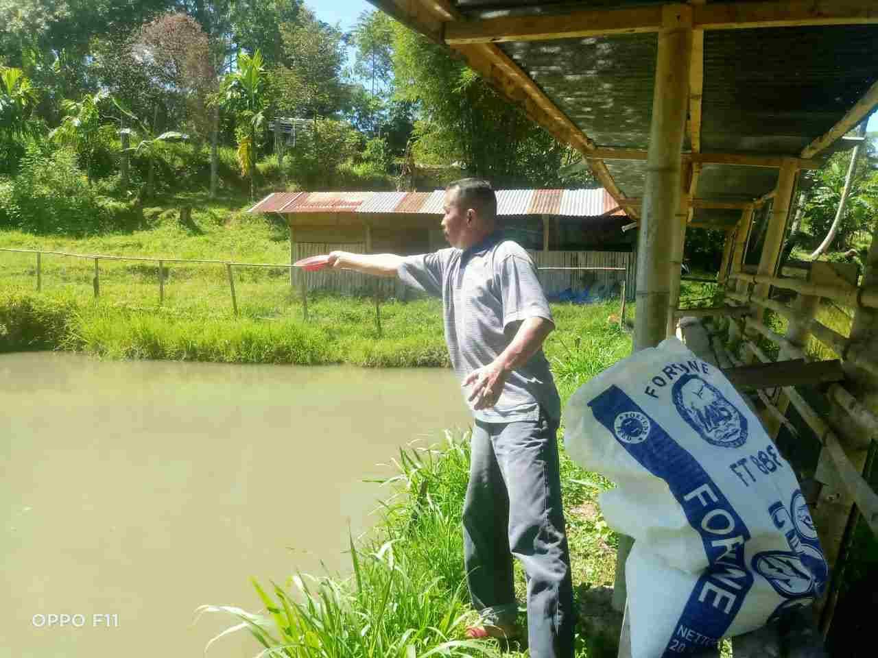 IMG-20250112-WA0095_LrmN8z4g0g