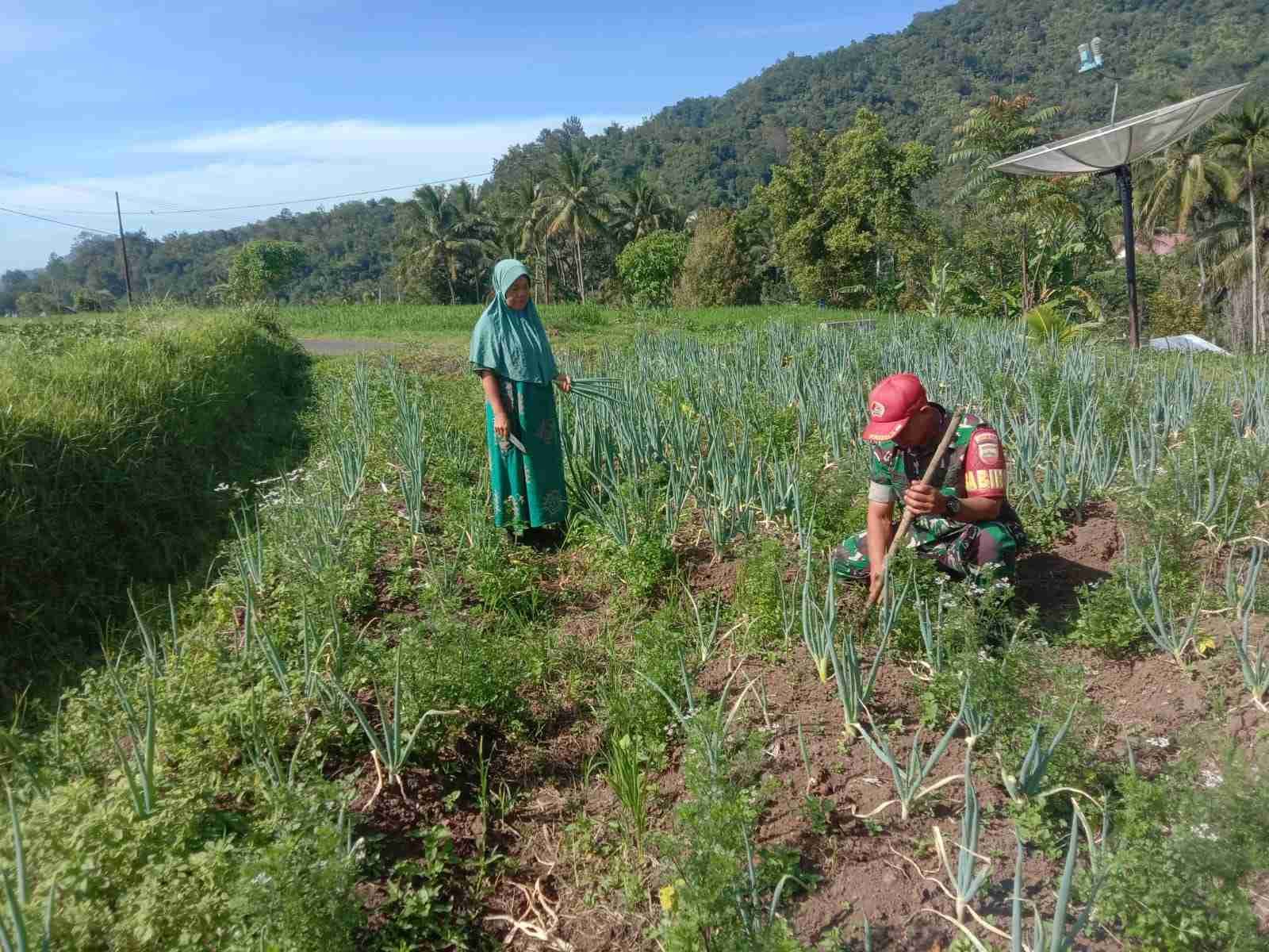 IMG-20250117-WA0180_obdWYqKV0V