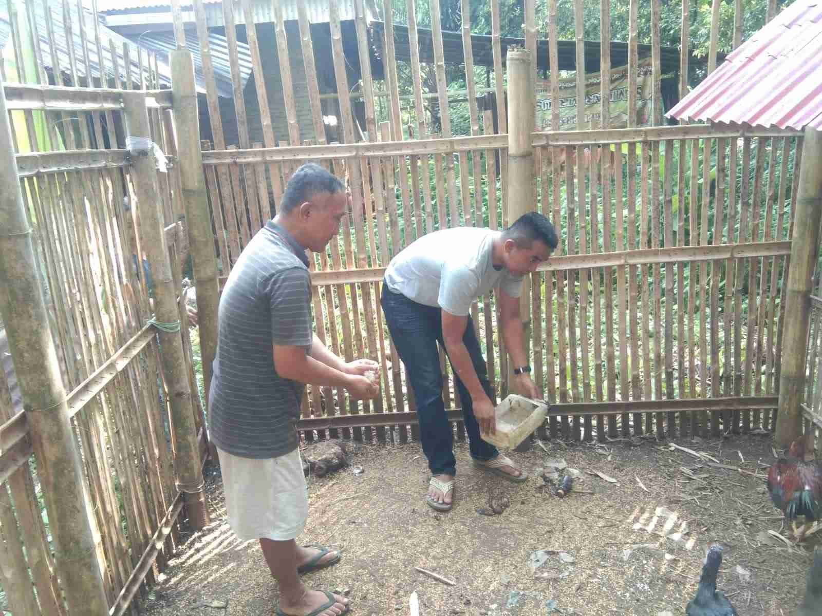 IMG-20250117-WA0182_DQblxXaJ2b