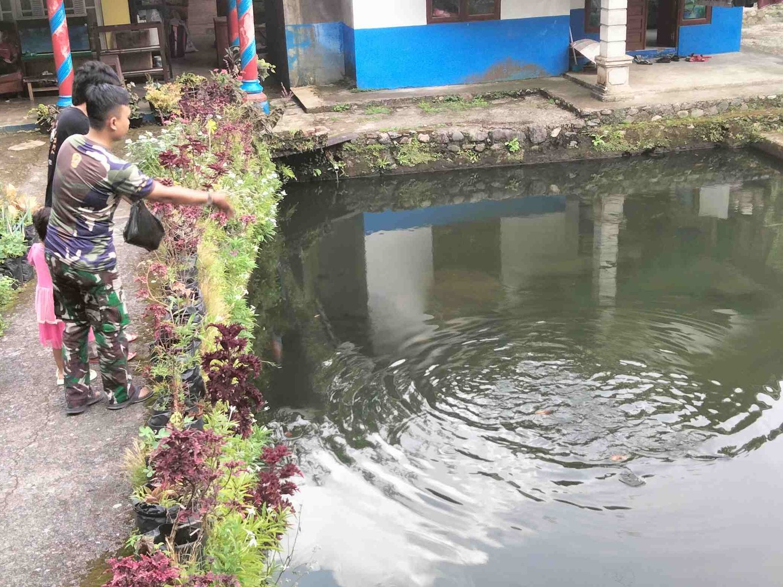 IMG-20250117-WA0185_d9rQAiQn9P