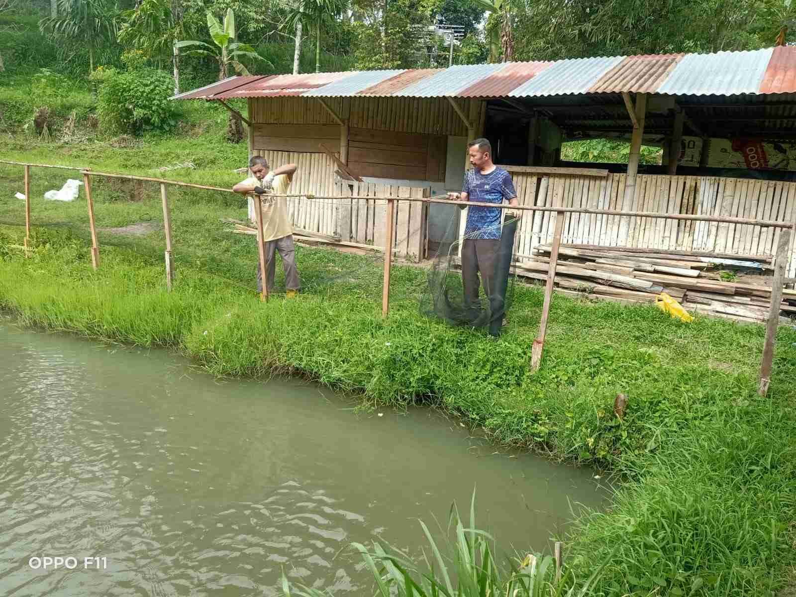 IMG-20250119-WA0135_JjIQ6i3F8D