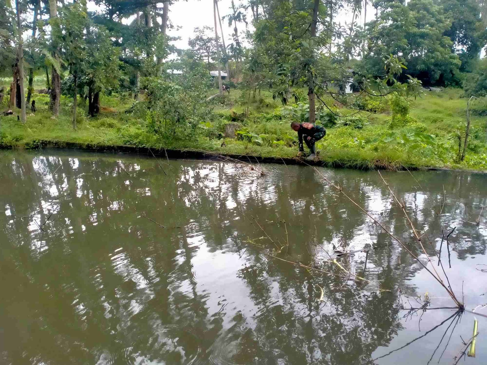 IMG-20250121-WA0120_54cbAPu96r