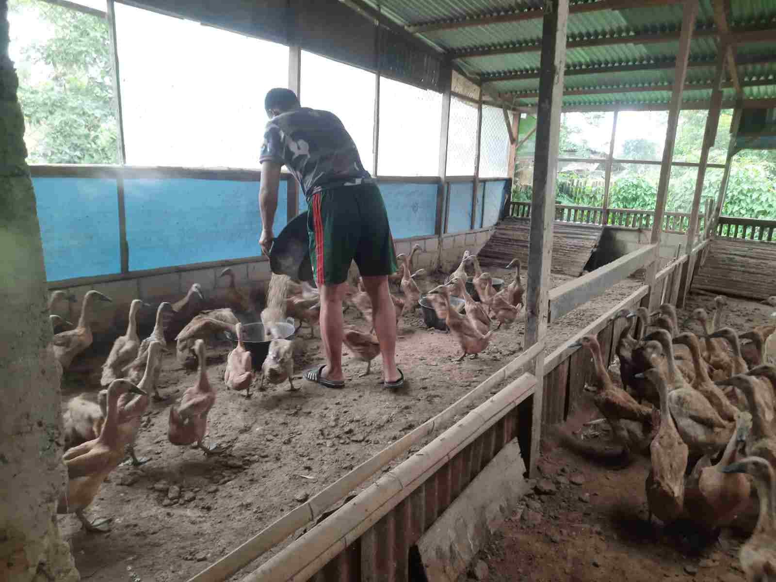 IMG-20250121-WA0124_GaOoKwkr9j