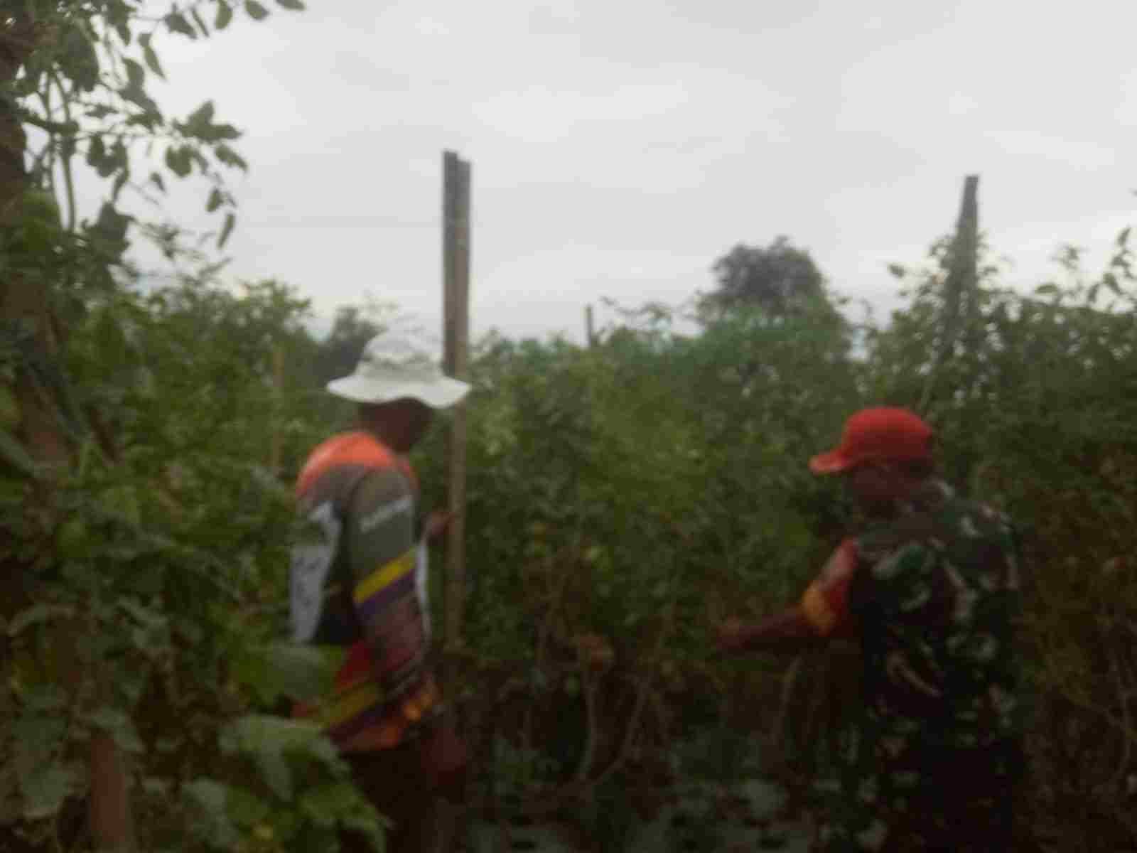 IMG-20250122-WA0228_IBmafkKx0U