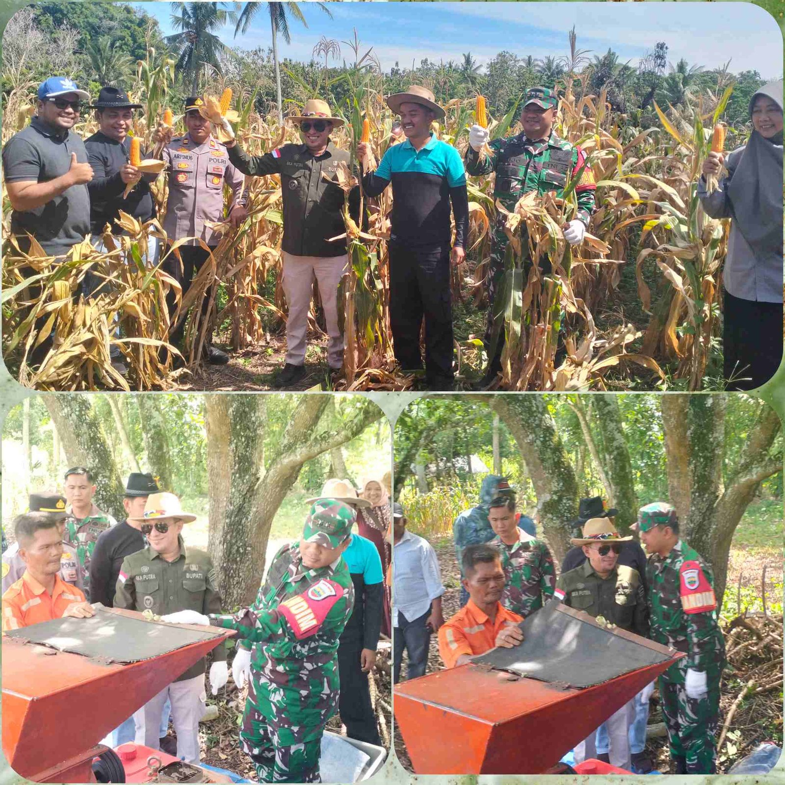 Polish_20250104_112311530_7zTvgkHn0A