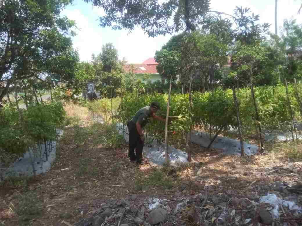 IMG-20250131-WA0137_AD1aU9G39L