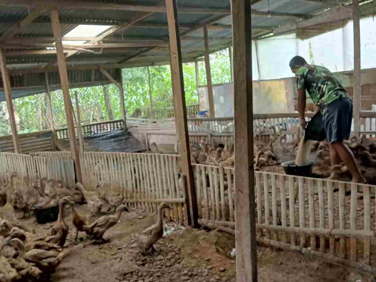 IMG-20250202-WA0157_O6N5F6ov3o