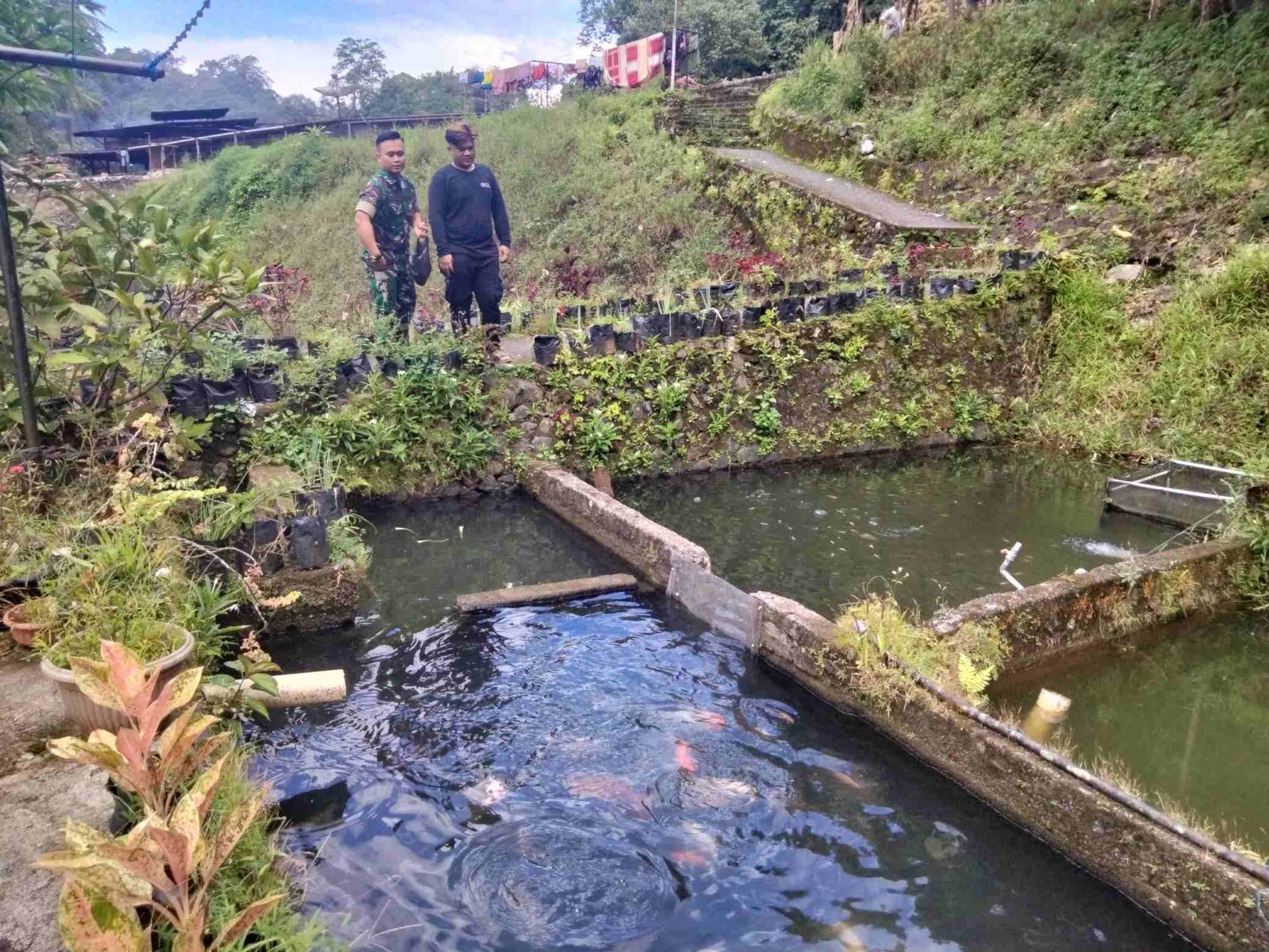 IMG-20250202-WA0160_so9neddr5v