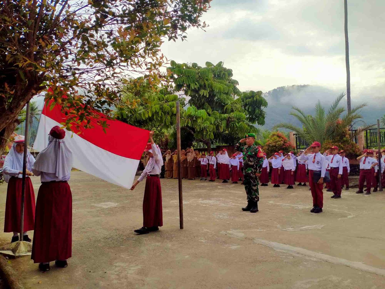 IMG-20250203-WA0141_LFRASI1a6Y