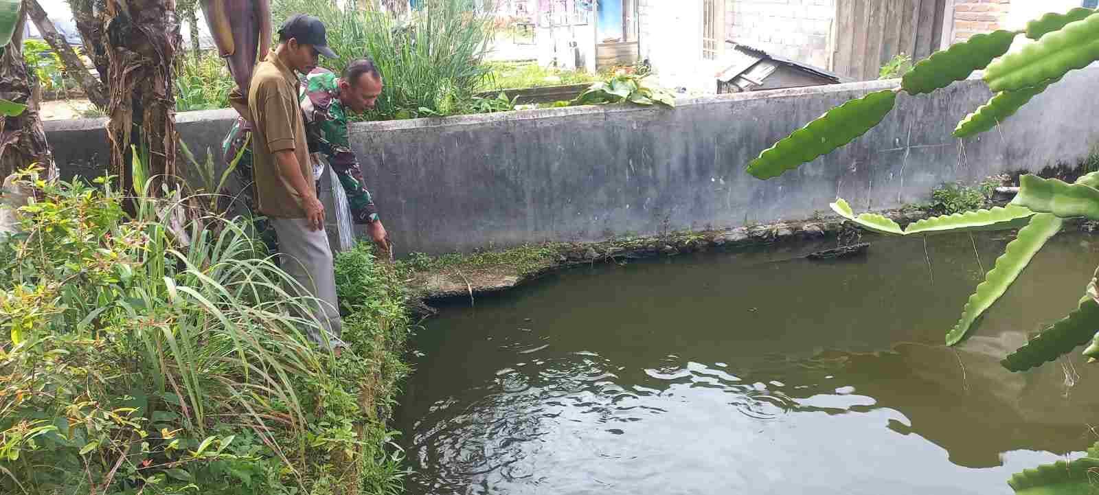 IMG-20250204-WA0167_iBohGV8A3E