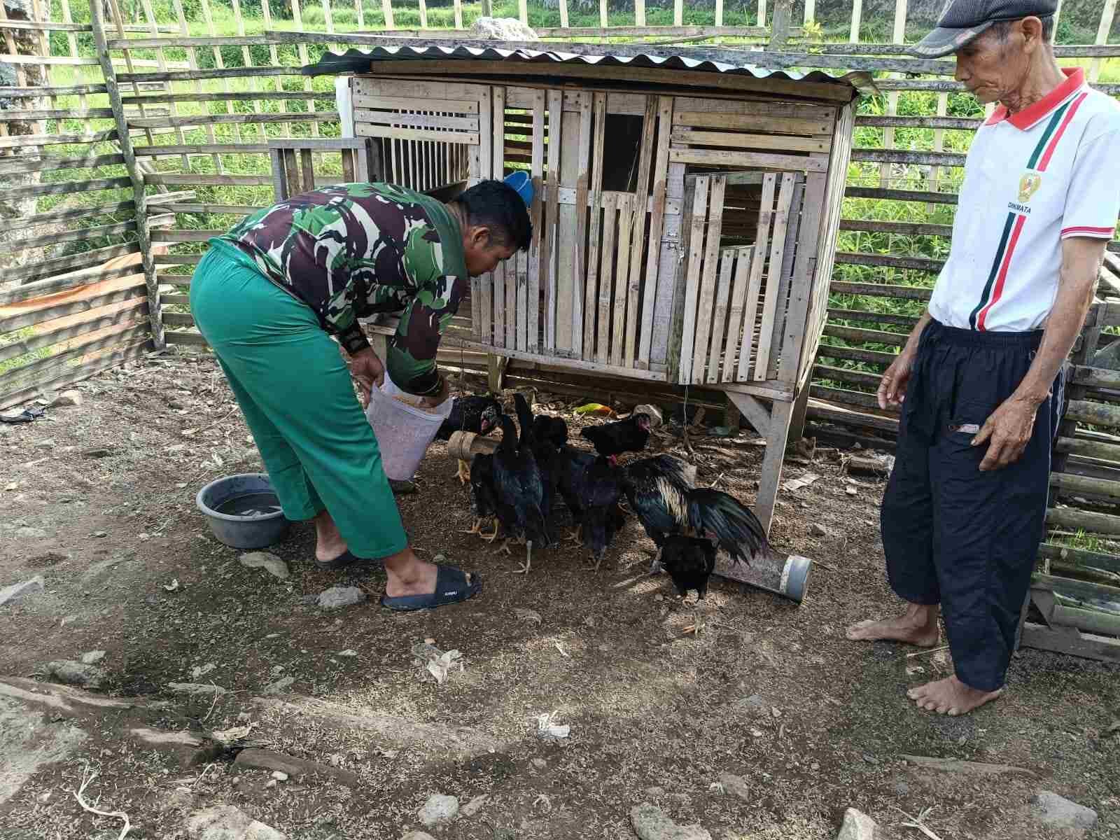 IMG-20250206-WA0159_FV4fsPH91X