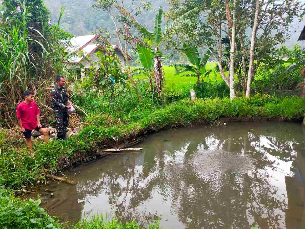 IMG-20250206-WA0167_jN32cyZ05z