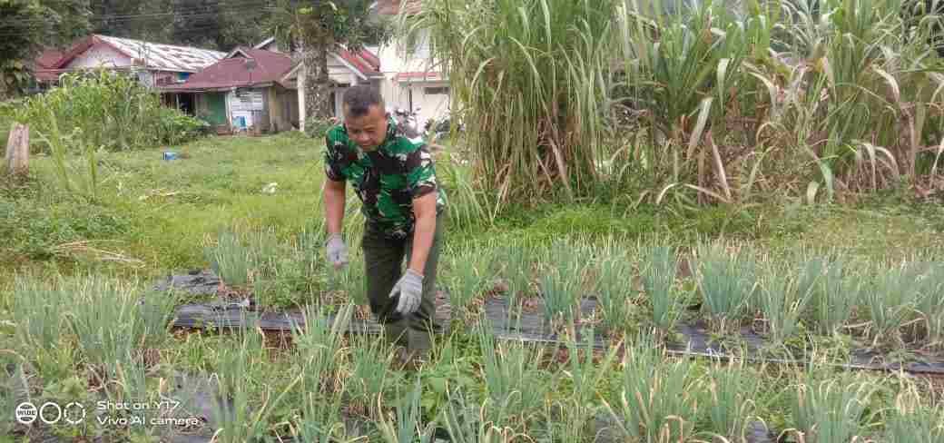 IMG-20250207-WA0184_Am1TYeai6d