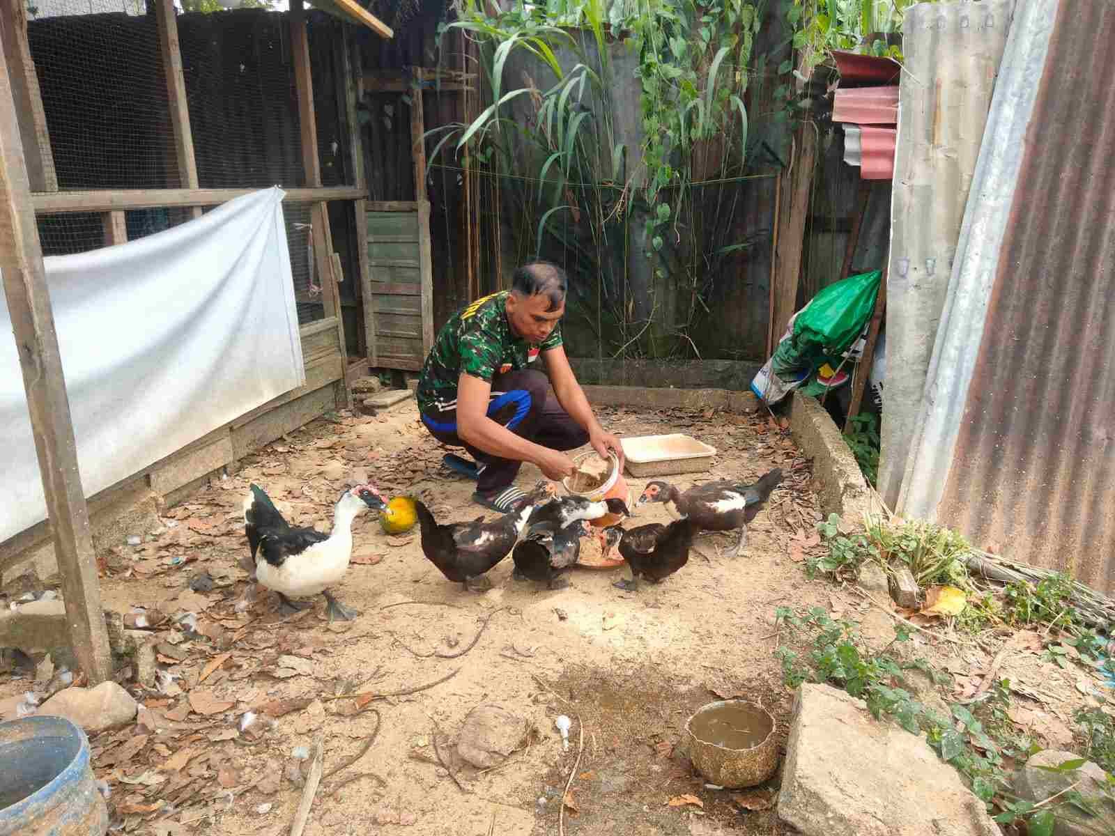 IMG-20250207-WA0188_fv8P6ePJ74