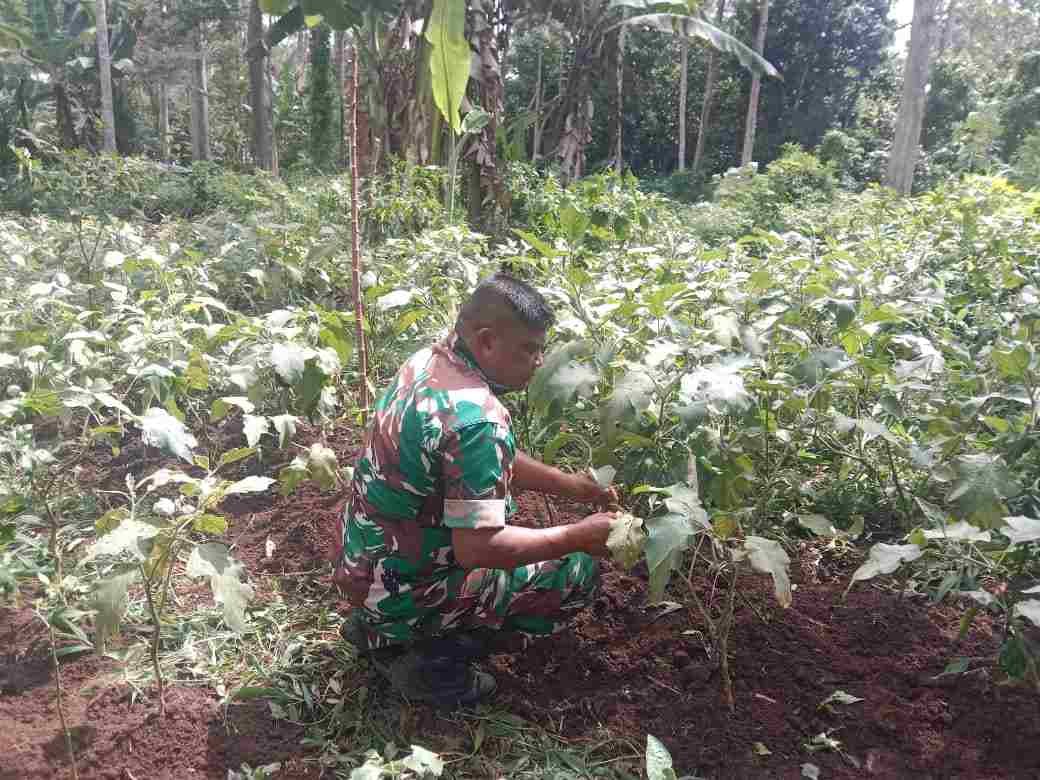 IMG-20250207-WA0193_Vw2z1npW4f