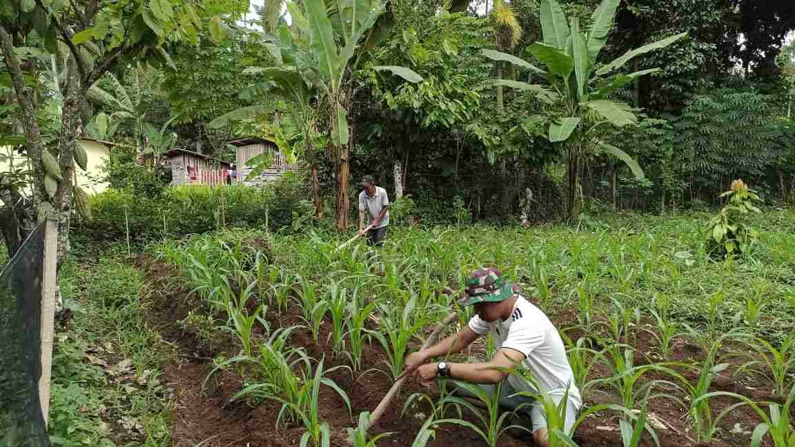 IMG-20250210-WA0248_sz7YEZHd6S