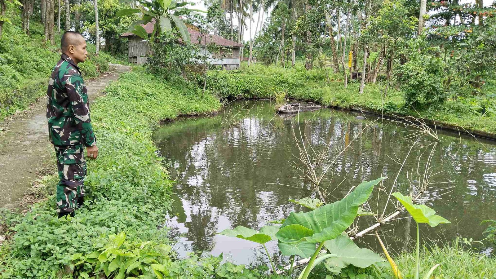 IMG-20250211-WA0137_UI19FAvd2L