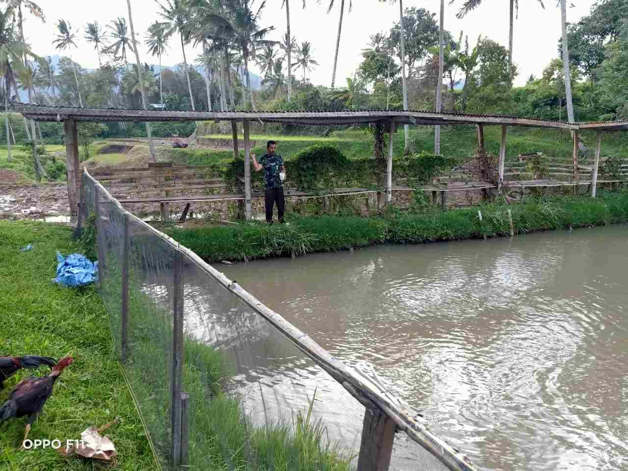 IMG-20250212-WA0167_OkxkOT549Q