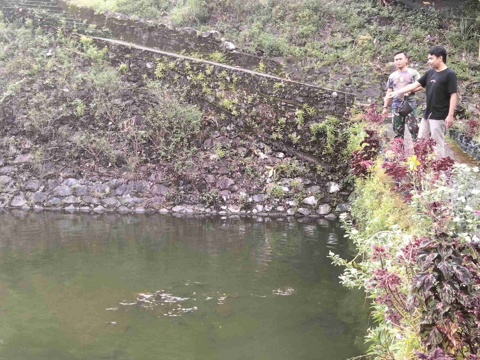 IMG-20250213-WA0218_xcwlSJ8J27