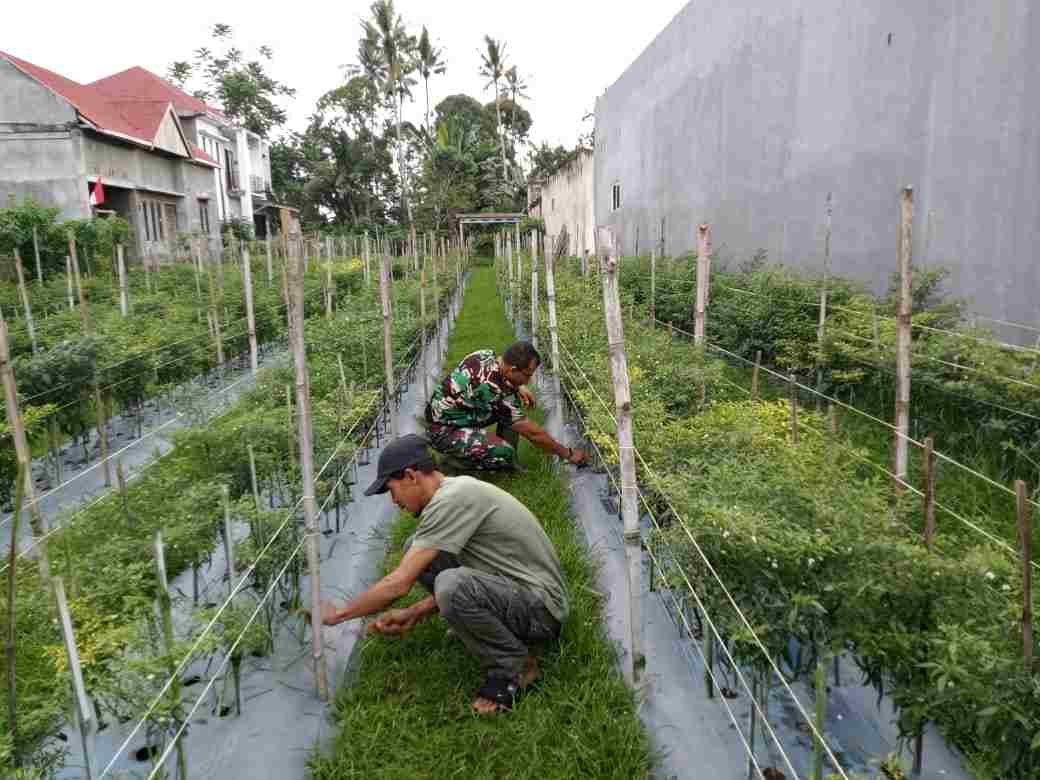 IMG-20250213-WA0220_btN9b3TQ0R