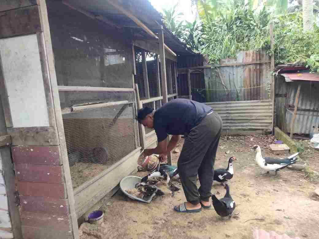 IMG-20250216-WA0118_FAfrmm6N1S