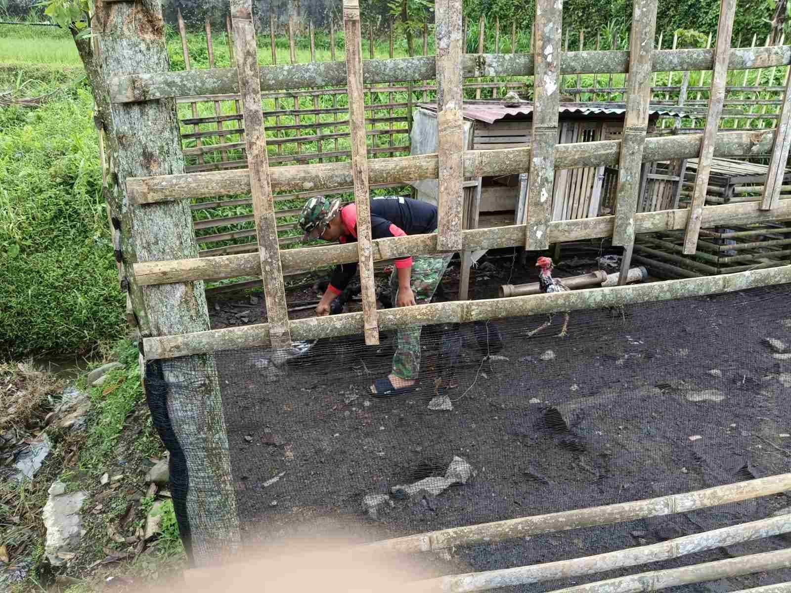 IMG-20250220-WA0217_Jvrx5xW53Z