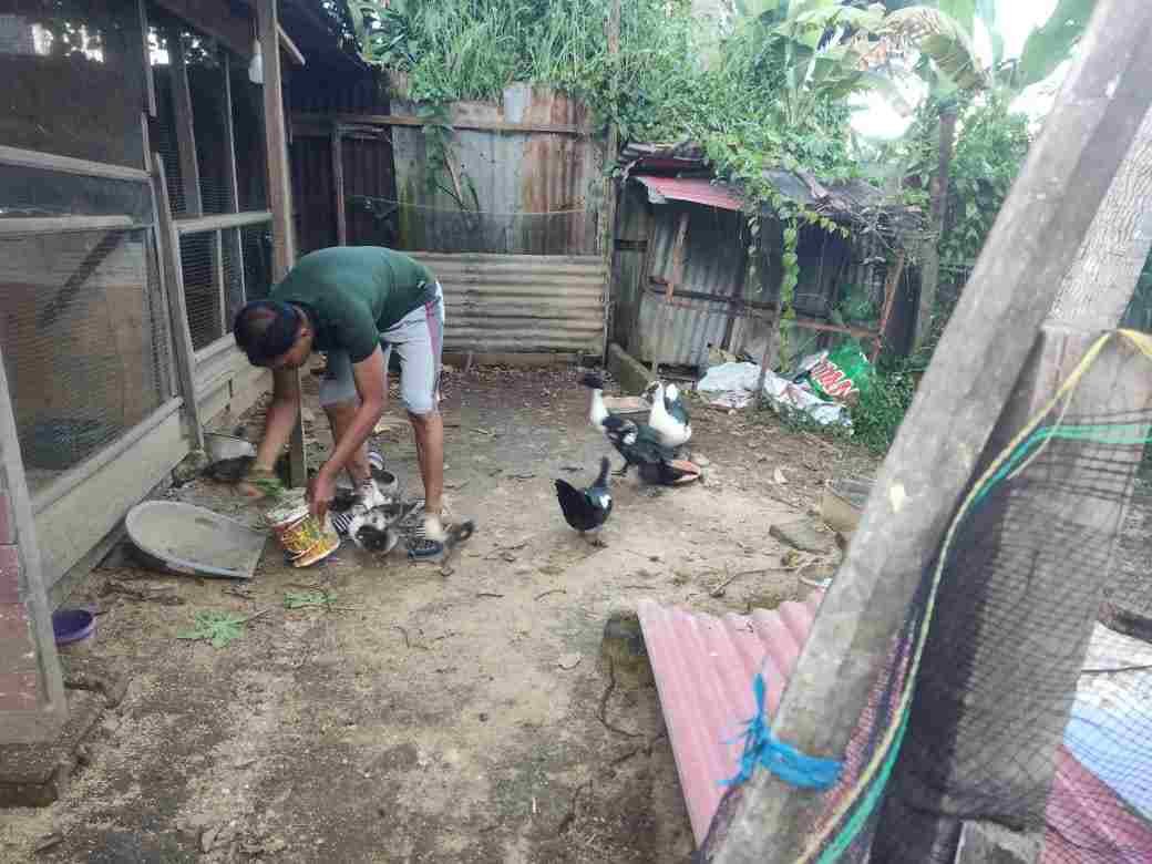 IMG-20250224-WA0202_6n3eAp689Y