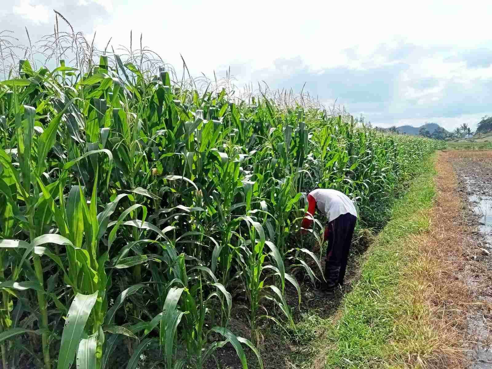 IMG-20250225-WA0232_0B8BNNBg9P