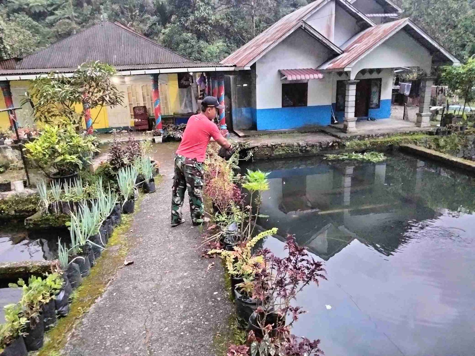 IMG-20250225-WA0236_t4A6HLHj9X