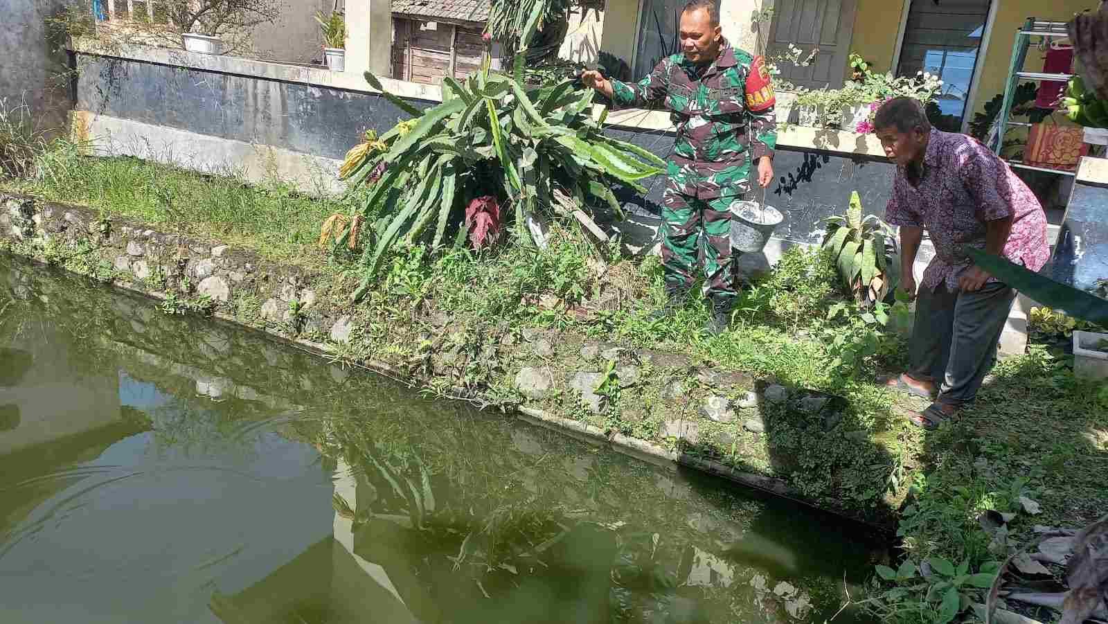 IMG-20250227-WA0242_40tZVi3v4B