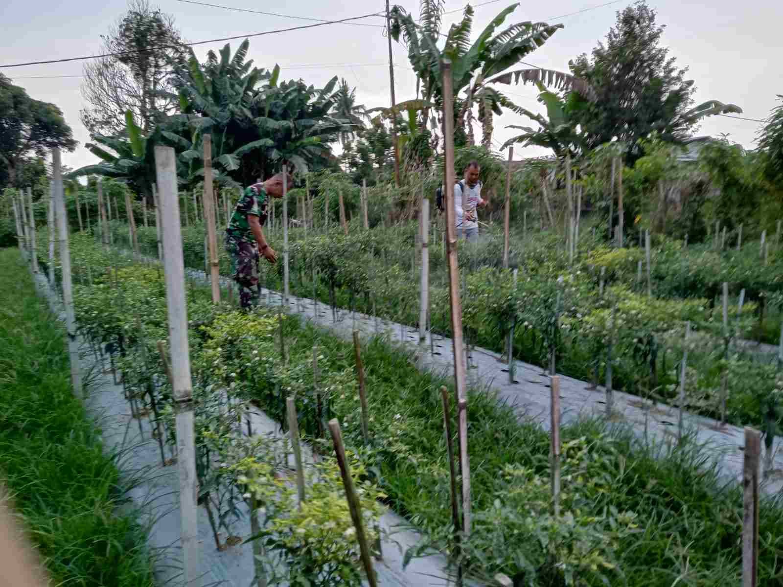 IMG-20250227-WA0244_6Pfjy87S6o