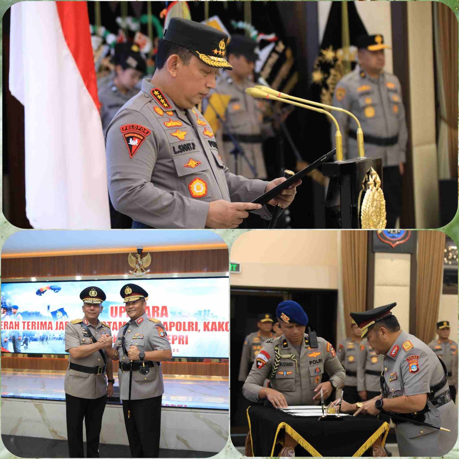 Polish_20250202_064926190_JpEbg7U11h