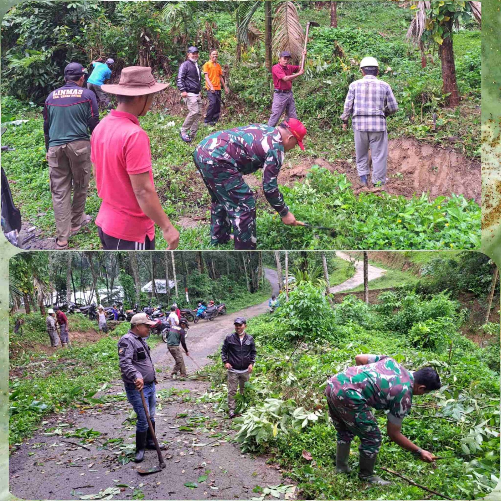 Polish_20250208_160701310_XKOEAxoE6P