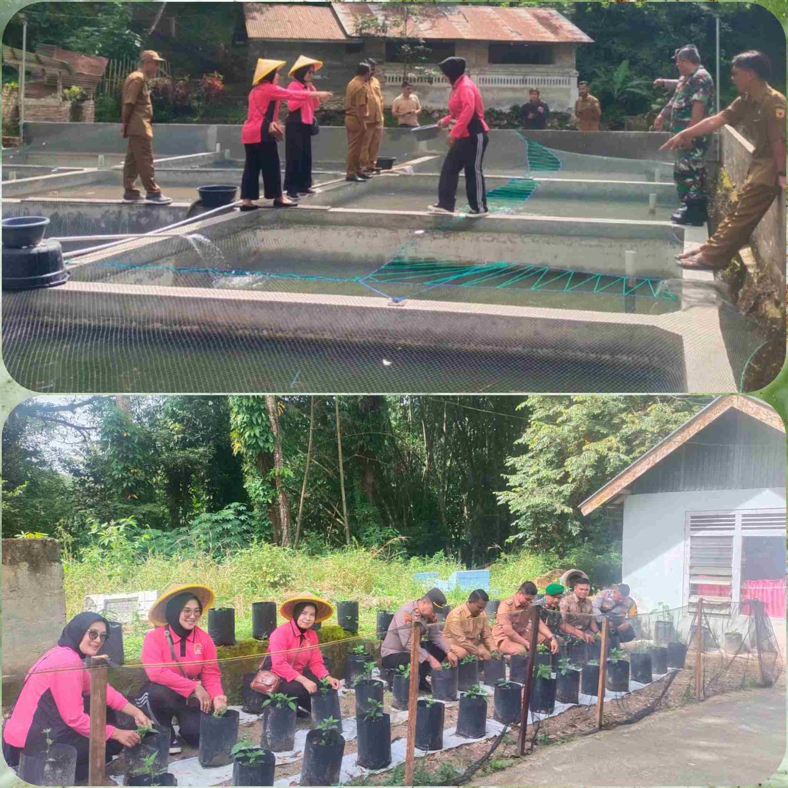 Polish_20250224_144237984_F9fKs9DV6m