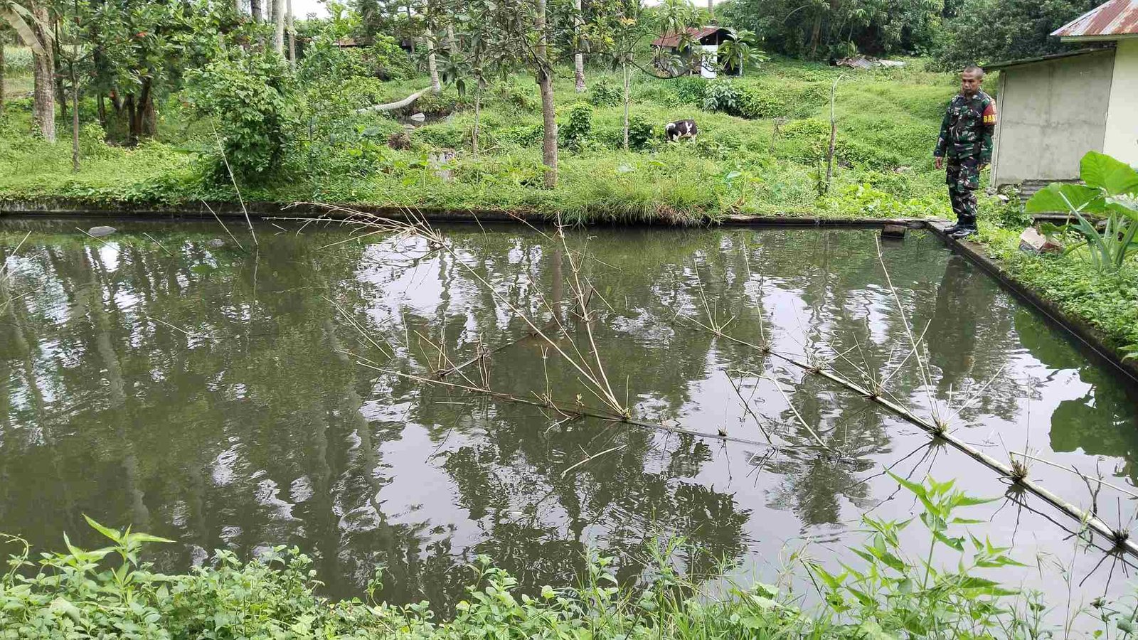 IMG-20250228-WA0245_YVcYDBfl2G