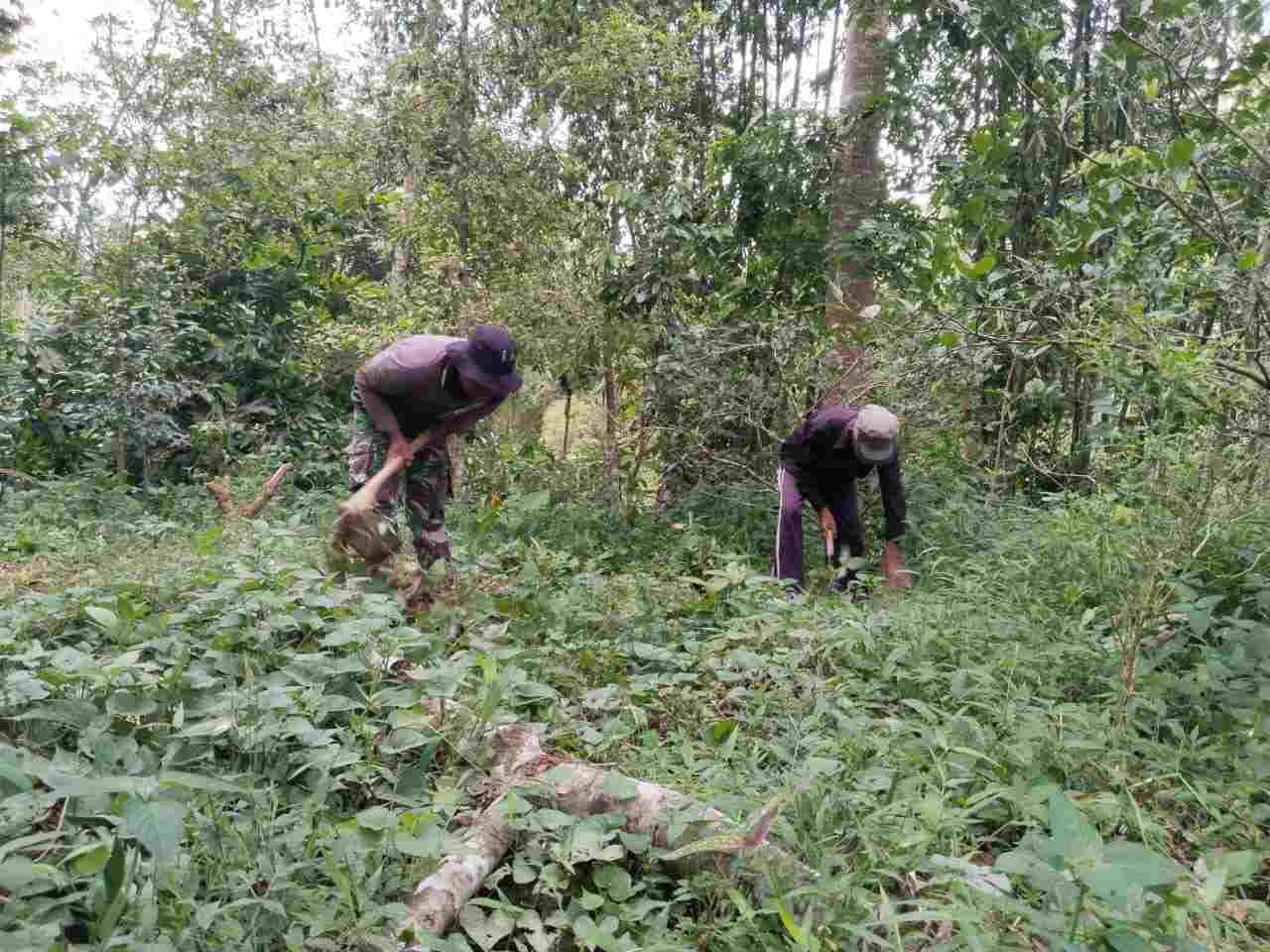 IMG-20250304-WA0230_gWa4LY2h71