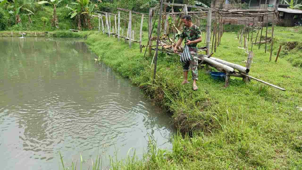 IMG-20250305-WA0272_z78RcqqS0j