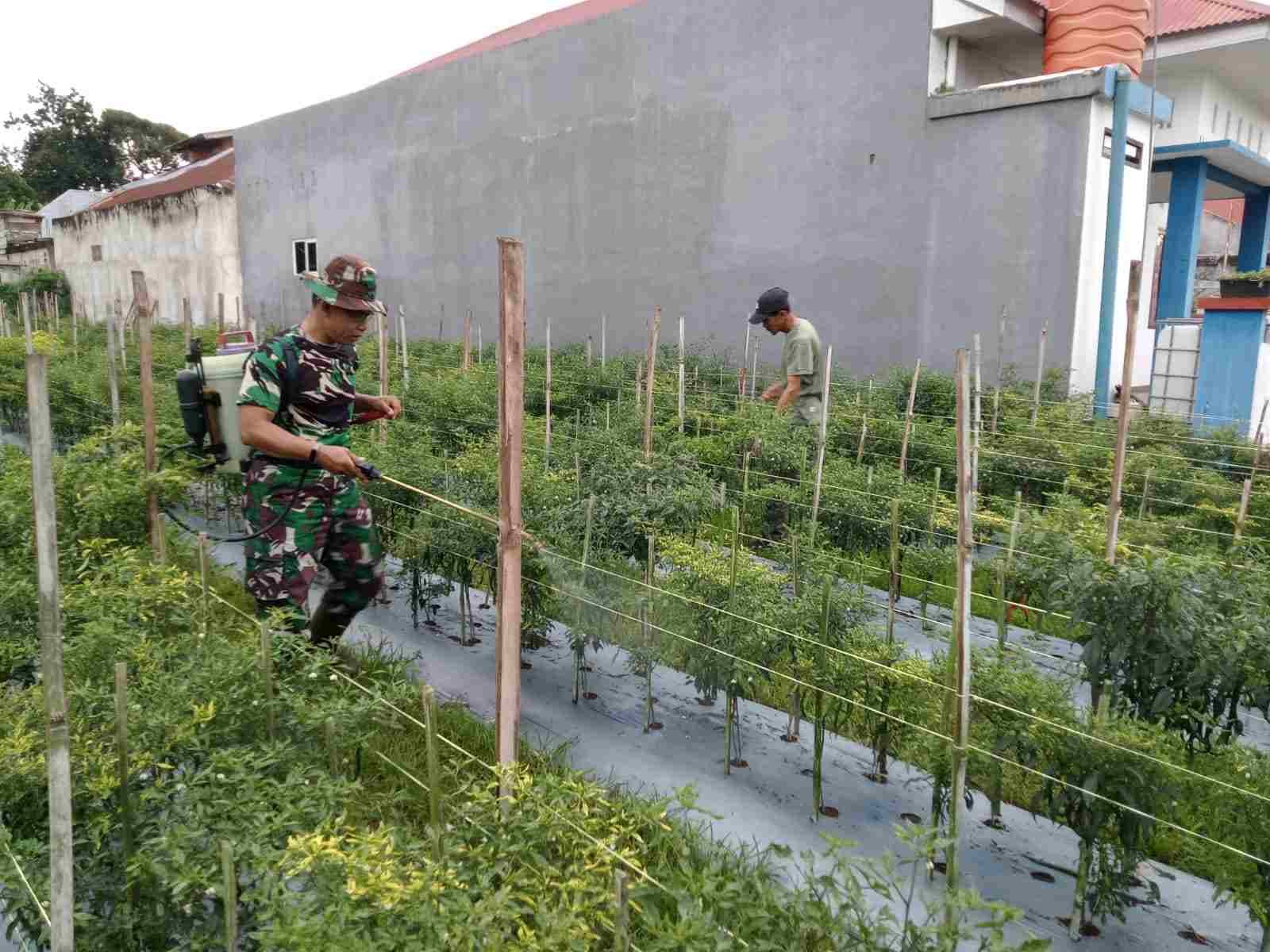 IMG-20250306-WA0235_UJYrTqRs7Q