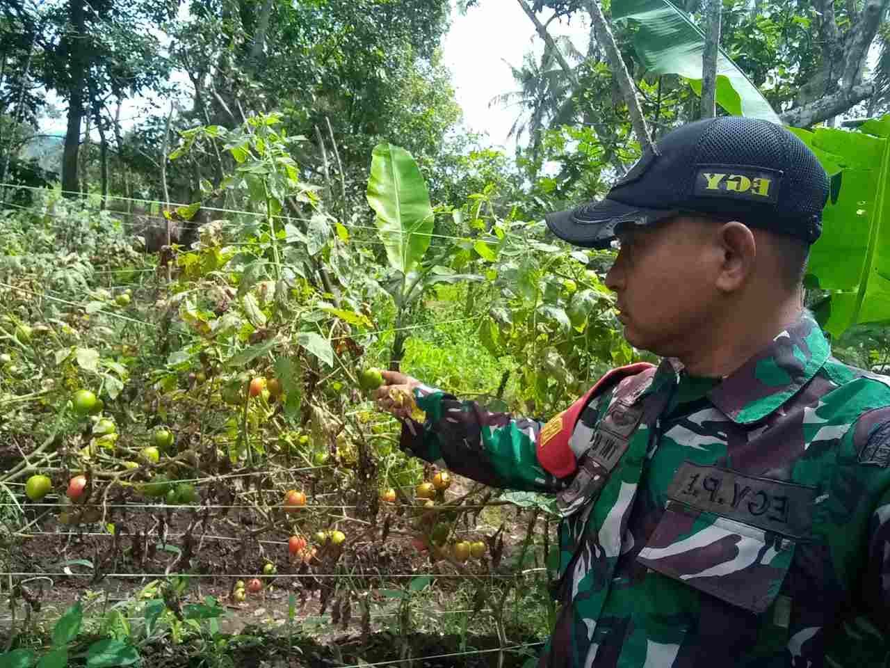 IMG-20250307-WA0167_BPvVouz37i