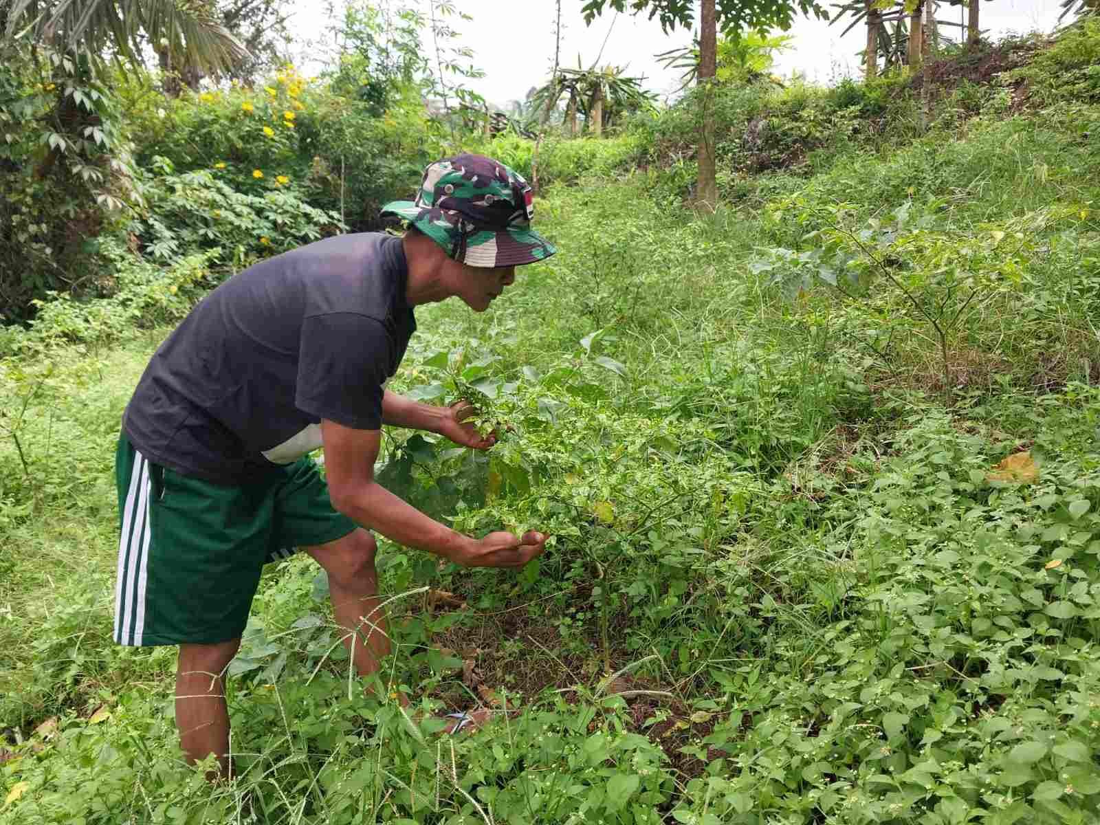 IMG-20250307-WA0168_0nqCb7oM7j