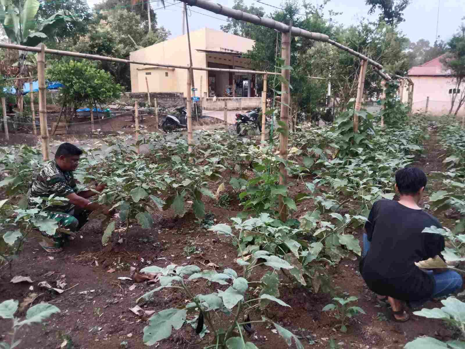 IMG-20250307-WA0175_tVKV2WhS4e