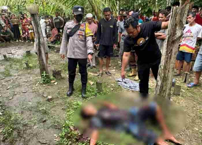 IMG-20250308-WA0222_pw2rXanH9c