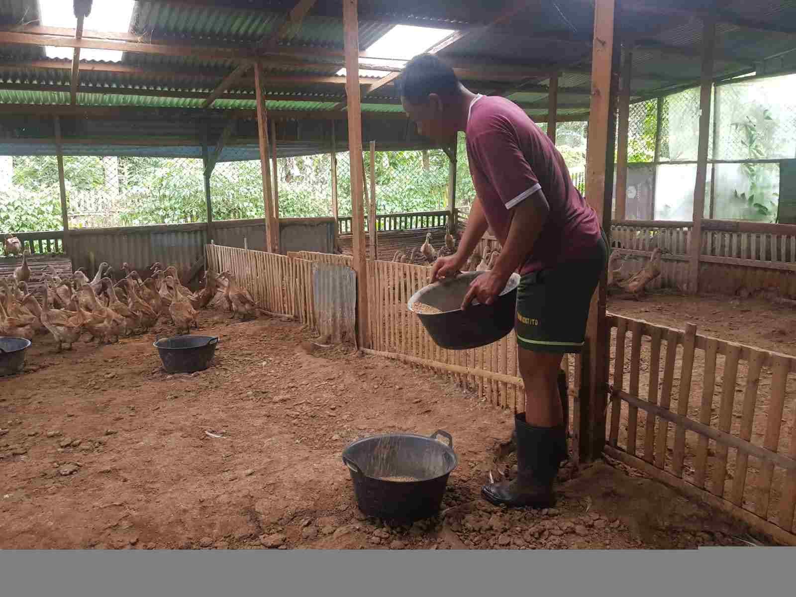 IMG-20250314-WA0213_6KPXDi339S